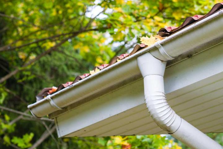 Gutter clearance in Huntingdon and Cambridge