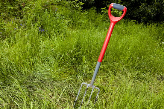 Garden Waste and garden clearances in Cambridgeshire