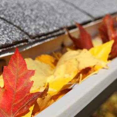 Gutter cleaning Cambridgeshire