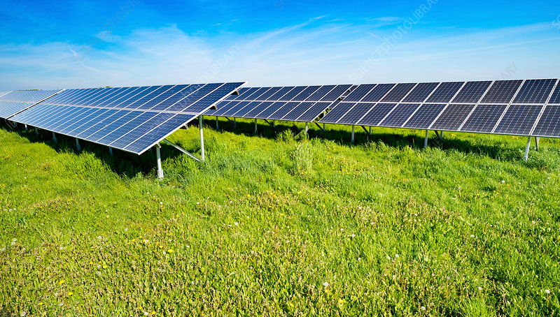 Solar Farm Grounds Maintenance
