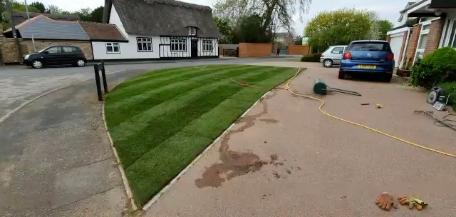 lawn turf landscaping