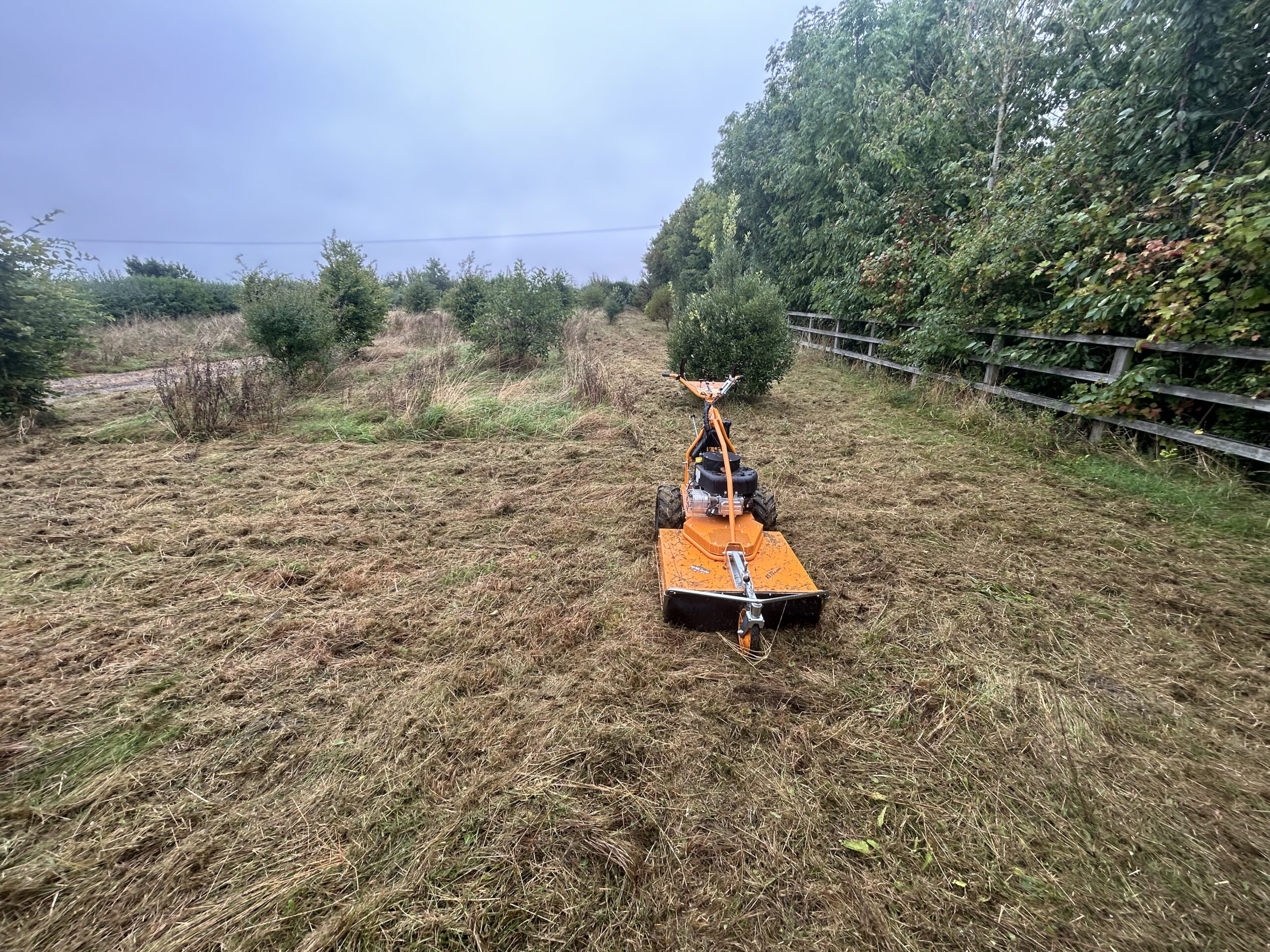 land and vegetation clearance in Cambridgeshire