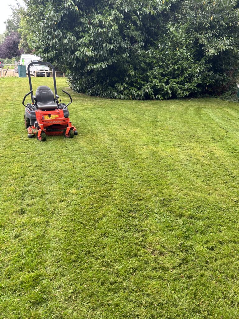 Commercial and domestic mowing Cambridgeshire